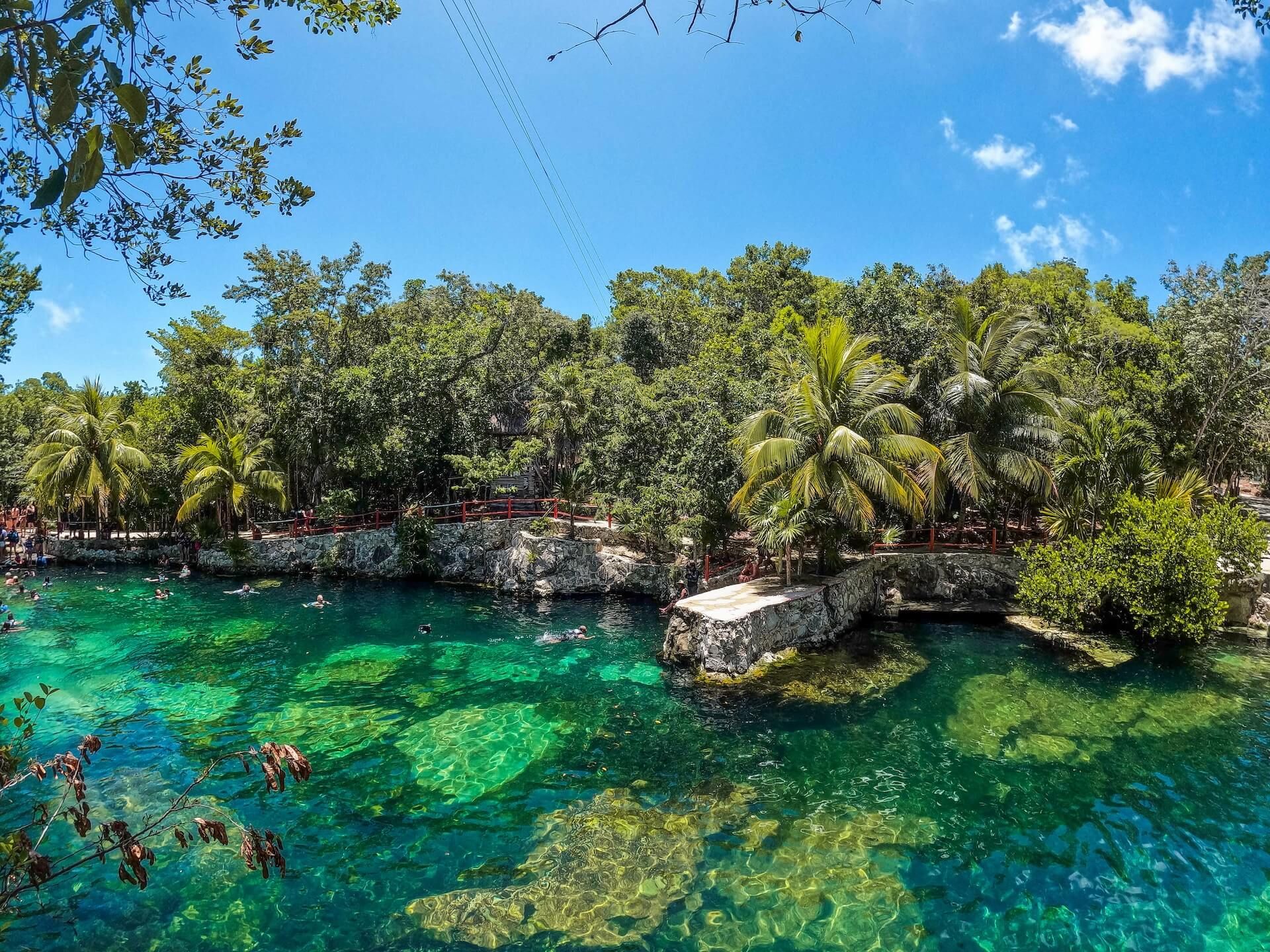 Cenotes Casa Tortuga: 4 Cenotes Day Pass + kayak