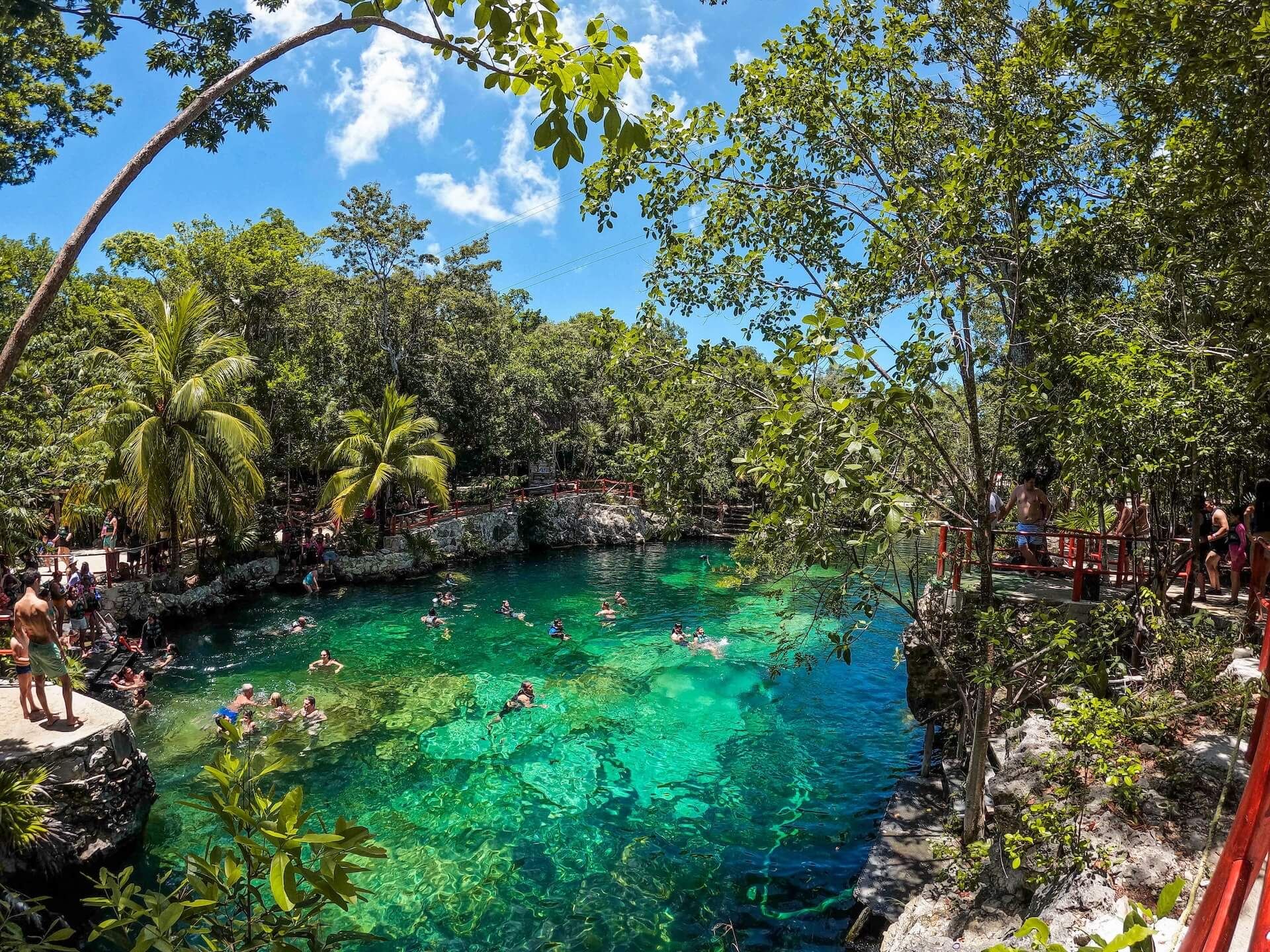 Cenote Casa Tortuga: 4 Cenotes Day Pass