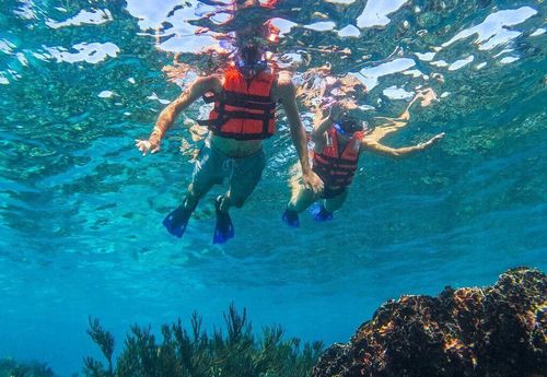1.5 hours Snorkeling at Tulum's paradise reef