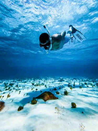 Top Cozumel Snorkel Experience: 4 Hours of Reefs & Island Dining